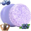 Blueberry Fields Shampoo & Conditioner Bundle, Antioxidant-Rich Hair Care Bundle