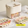Ice Cube Tray with Lid and Ice Storage Bin, 52