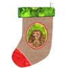 Caroline's Treasures SS2012-CS American Water Spaniel Christmas Stocking SS2012, Large, Multicolor