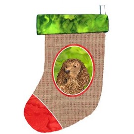 Caroline's Treasures SS2012-CS American Water Spaniel Christmas Stocking SS2012, Large, Multicolor