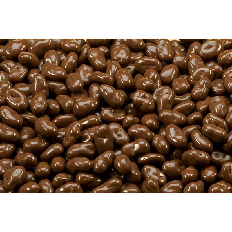 Gourmet MILK Chocolate Covered Raisins BULK CANDY- ONE POUND BAG