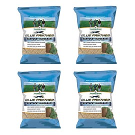 Jonathan Green (3 lb) Blue Panther Kentucky Bluegrass Grass Seed - Cool Season Lawn Seed (Pack of 4)
