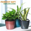 Planterhoma Self Watering Pots for Indoor Plants (Silver Gold, 6.7