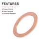 DTGN 22 mm x 29 mm x 1.5 mm (IDxADxT)