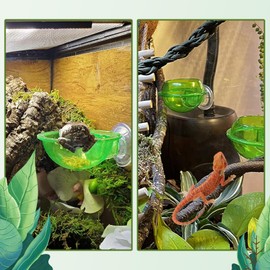 PINVNBY Reptile Bowl with Suction Cup,Chameleon Feeding Bowl,Gecko Food and Water Feeding Dish Pet Feeder Supplies Accessories for Lizards,Snakes,Bearded and Dragons(4 Pcs)