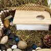 Baoblaze Hamster Sand Bath Container, Acrylic Shower and Digging Room