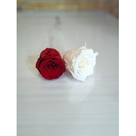 your castle Infinity Roses, Eternal Rose, Pack of 8 Freeze-Dried Roses in White, Preserved Real Flowers that Never Witer, Decoration, Table Decoration