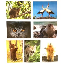 7 lenticular postcards, 3D postcards of animals from the U.K. and Europe, ideal for collectors, postcrossing or as teaching material for biology