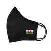 inking house Welsh Flag Cotton Face Mask Protective Covering Washable