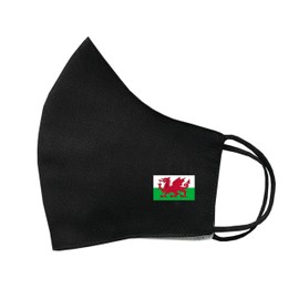 inking house Welsh Flag Cotton Face Mask Protective Covering Washable Reusable Breathable Cover Wales Flag