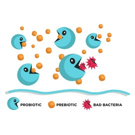 Lean & Pure Pure Smoothie Shake, Protein Powder, Non GMO, Vegan, Gluten Free, 492g