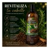 Shampoo Café Romero Y Canela Vida Natural Fortalecedor 1l
