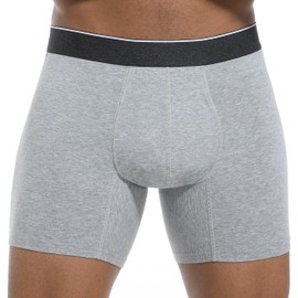 IRISMORII Washable Mens Leakproof Incontinence Underwear Bladder Leak Protection Instant Absorbency 60 ML Boxer Briefs (Gray 4X)