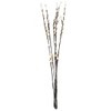 Light Garden 01761-184143 Electric Willow Lighted Branches