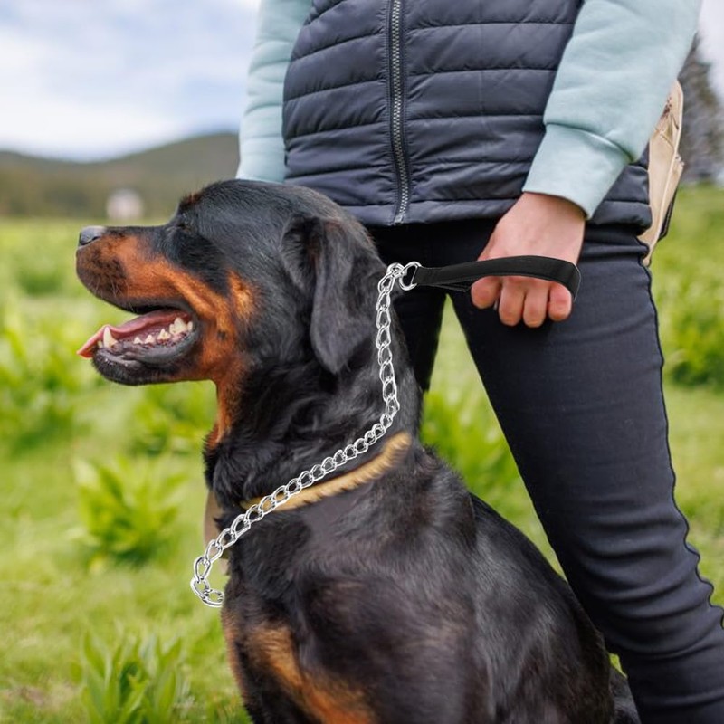 Metal Chain Dog Leash, 4FT/1.2M Heavy Duty Dog Chain Leash,