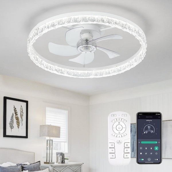 FTZVRD Ceiling Fans with Lights, 24 Inch Ceiling Fan with
