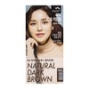 Man with Flowers CS Ink Color Cream N4 Natural Dark Brown / 꽃을든남자 CS 먹물 칼라크림 N4 자연흑갈색