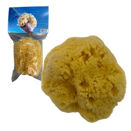 Awesome Aquatic Natural Sea Sponge Amazing Natural Renewable Resource"Creating The in Home Perfect Bath and Shower Experience" Artist Sponge (Yellow Grass 5-6 Inch)