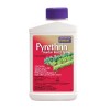 Bonide Pyrethrin Garden Insect Concentrate - 8 Oz.