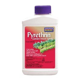 Bonide Pyrethrin Garden Insect Concentrate - 8 Oz.