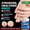 Marine Collagen Powder 10000mg | Type 1 & 3 Unflavoured