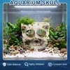 Exasinine Skull Aquarium Decoration Cave Fish Tank Skull Hideout Rock