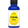 Catnip Essential Oil 15 ml - 0.5 oz - Pure