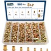 Vifmy SAE Rivet Nut Assortment Kit(880 Pcs), #6-32#8-32#10-24 1/4"-20 5/16"-18