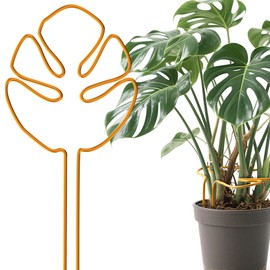 Neiang Monstera Support Stake 1 Piece Potted Plant Support Monstera Plant Support Alloy Coconut Vine Support Gardening Anti-Fallover