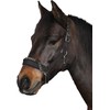 HorseGuard Halter with Chain Black Control Halter with Chain Stallion