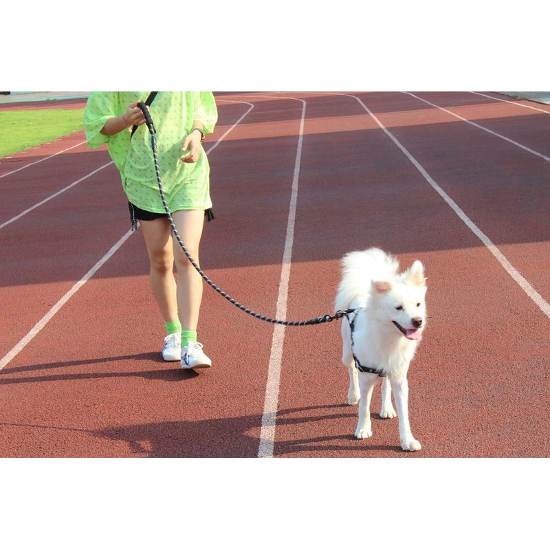 BAAPET 2/4/5/6 FT Strong Dog Leash with Comfortable Padded Handle