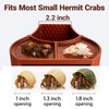 Hermit Crab Hideout with Dual Food Bowls, 2-in-1 Cave Shelter