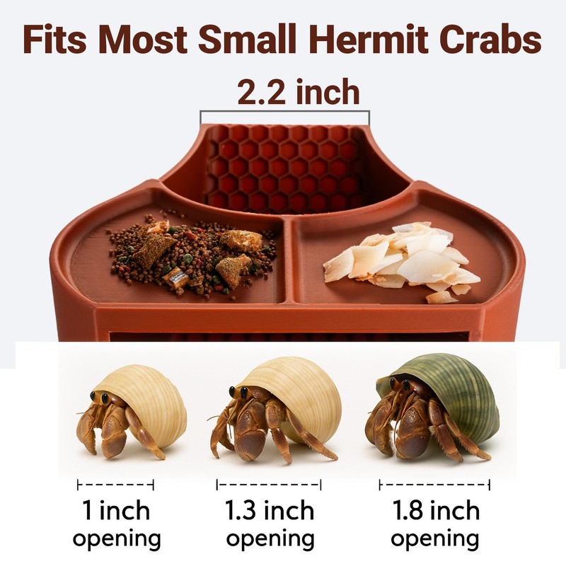 Hermit Crab Hideout with Dual Food Bowls, 2-in-1 Cave Shelter