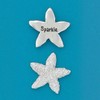 Basic Spirit Pocket Token Coin Starfish Sparkle Small Spirit Shell, 1 Inch Height, Handcrafted Pewter, Love Gift for Beach Ocean Coastal Lover Coin Collecting