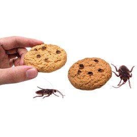 Zugar Land Cookie Surprise (2 Pieces) Soft Plastic Prank Toy with Cockroach Great for Gags (2 Pieces)