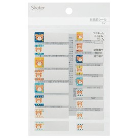 Skater SN1 Name Sticker Boy 17 Sheets