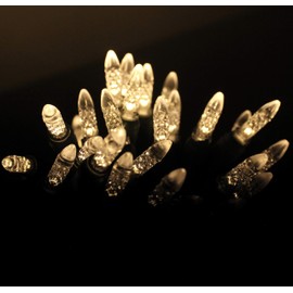 Dalla Costa 50 Count M5 Faceted Christmas Mini Light Set Indoor/Outdoor Use String Lights for Garden Christmas Tree Patio Lawn Party Home 120V UL Certified Green Wire 17 Feet (Warm White)