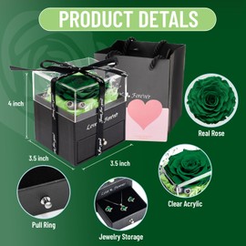 Preserved Real Rose with Necklace Earrings Set, Eternal Rose Flowers Gifts for Anniversary Birthday Valentine's Day Mothers Day Christmas (Green)