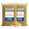 CountryMax Backyard Seeds in-Shell Raw Unprocessed Peanuts 50lbs - Premium