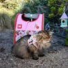 Travel Cat Strawberry Shortcake Harness & Leash Set - Adjustable