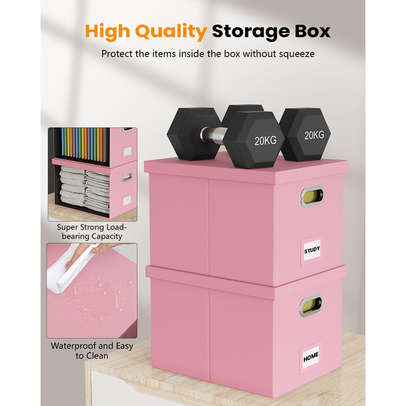 Oterri File Organizer Box,Filing Box with Lid,File Box for Letter/Legal