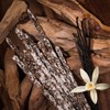 Aromasenses. - Natural Organic Incense Palo Santa Mother Series (Santa