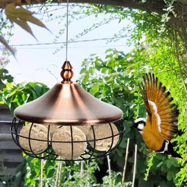 GYMAX Fat Ball Holder, Bird Feeder House, Diameter 17 cm, Bird Feeder with Roof, Wild Bird Feeder for Hanging, Feeding Station for Wild Birds