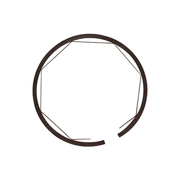 Turbocharger Sealing Ring fits International 1206 21206 606918C91
