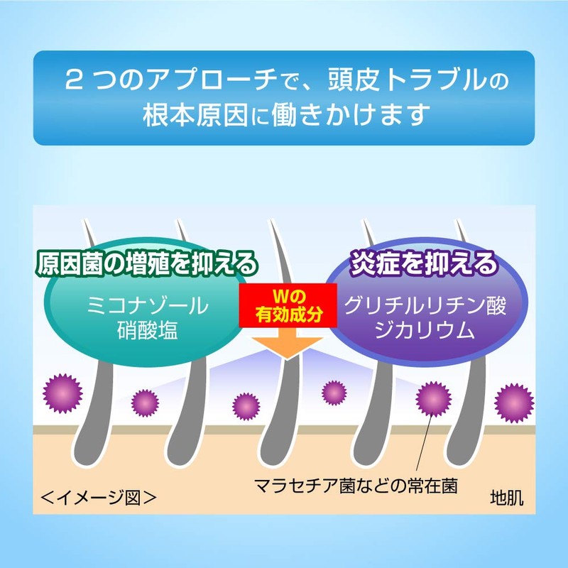 Medicik H Medical Shampoo Refill, 9.5 fl oz (280 ml),