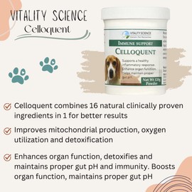 Vitality Science Vitality Science Celloquent for Dogs | Enhanced Immune Support | Maintains Proper Gut pH | Boosts Organ Function | Aids Detoxification & Healthy Inflammatory Response | 100% Safe and Natural (220g)