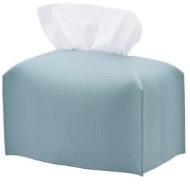 TOMOTHY Stylish Nordic Tissue Case, Thick, Deep, 2 Tiers, Tissue Cover, Korean Interior, Mint Blue