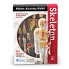Learning Resources Skeleton Model, Science Classroom Must Haves, STEM Student
