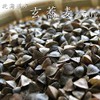 Buckwheat Seeds (15.9 oz (450 g), Made in Hokkaido, Cultivable,