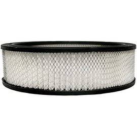 ACDelco GM Original Equipment A348C Air Filter